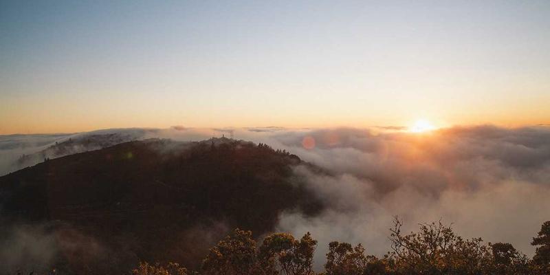 某电商平台智能推荐系统