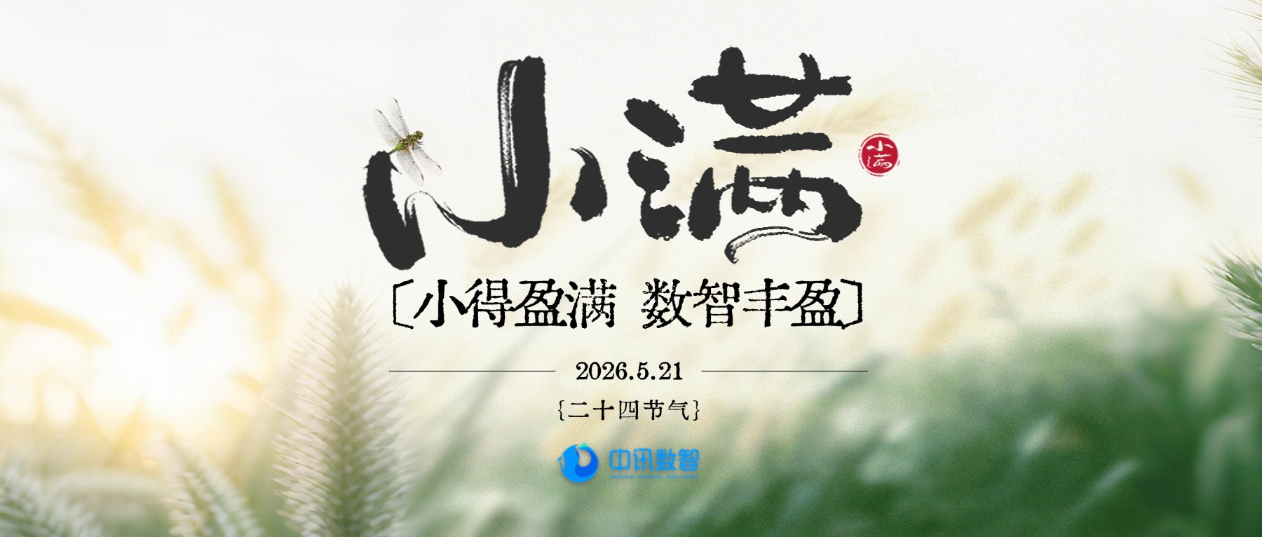 小满 | 小得盈满,数智丰盈